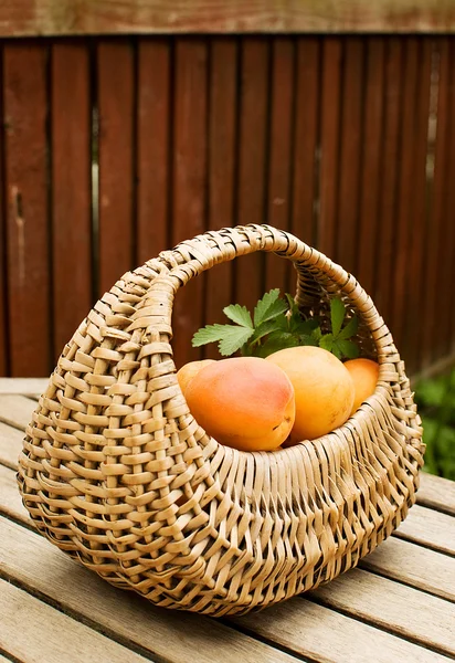 Apricots — Stock Photo, Image