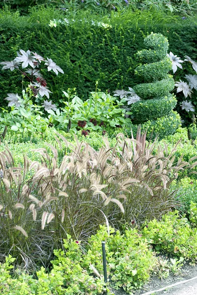 Jardins no parque — Fotografia de Stock