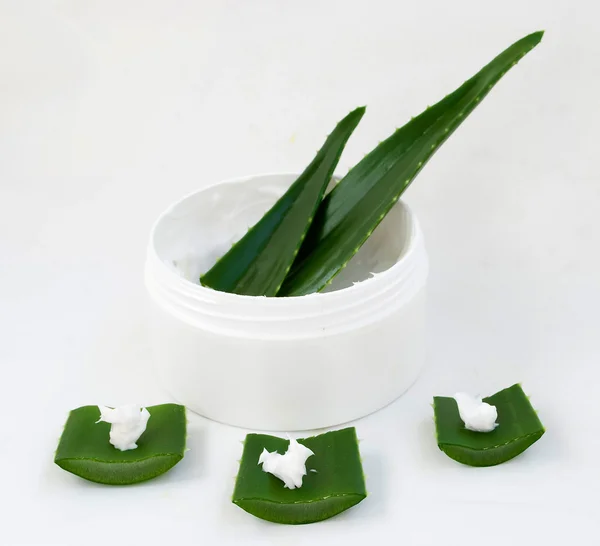 Aloe — Stockfoto