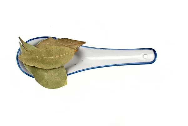 Bay leaves — Stock Photo, Image