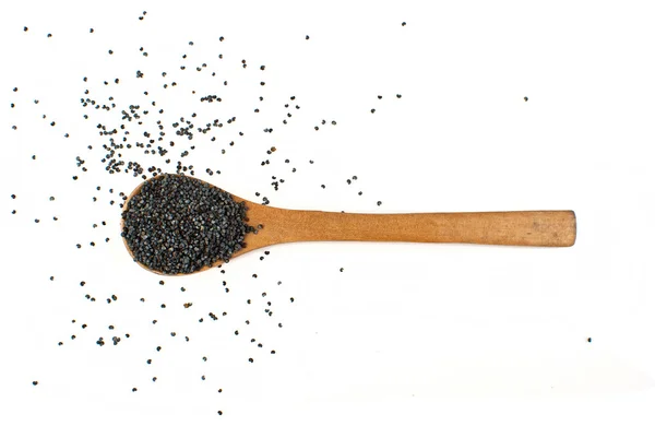 Poppy seeds — Stock Photo, Image