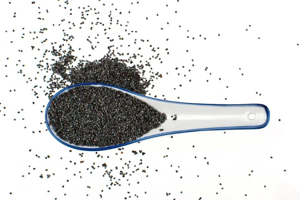 Poppy seeds — Stock Photo, Image