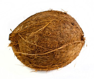 Hindistan cevizi