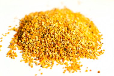 Arı Poleni