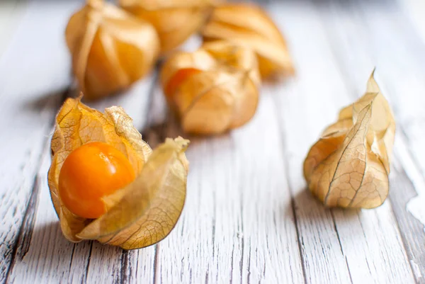 Physalis. —  Fotos de Stock