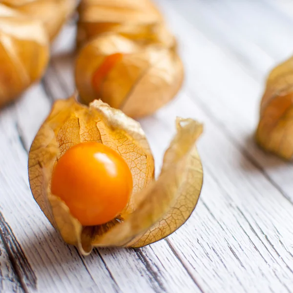 Physalis — Stock Photo, Image