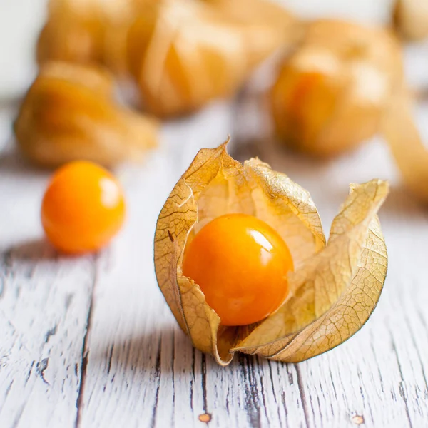 Physalis. —  Fotos de Stock