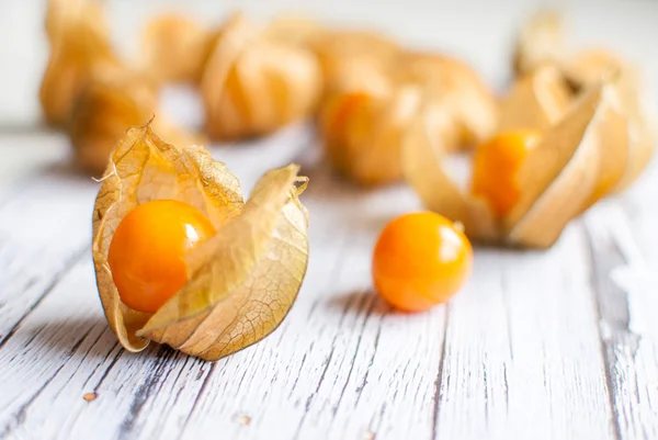 Physalis — Stock Photo, Image