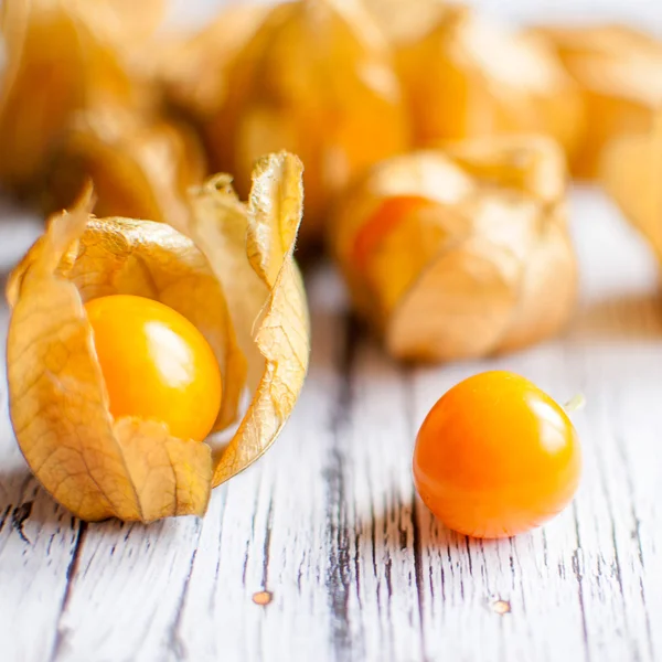 Physalis. —  Fotos de Stock