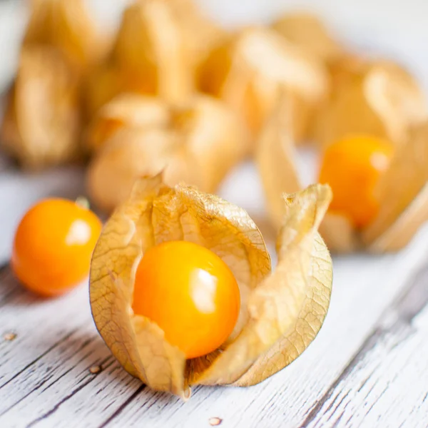 Physalis — Stock fotografie