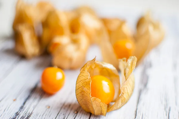 Physalis. —  Fotos de Stock