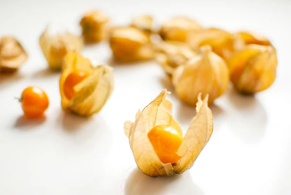 Physalis. —  Fotos de Stock