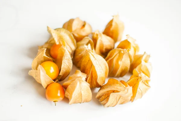 Physalis — Stockfoto