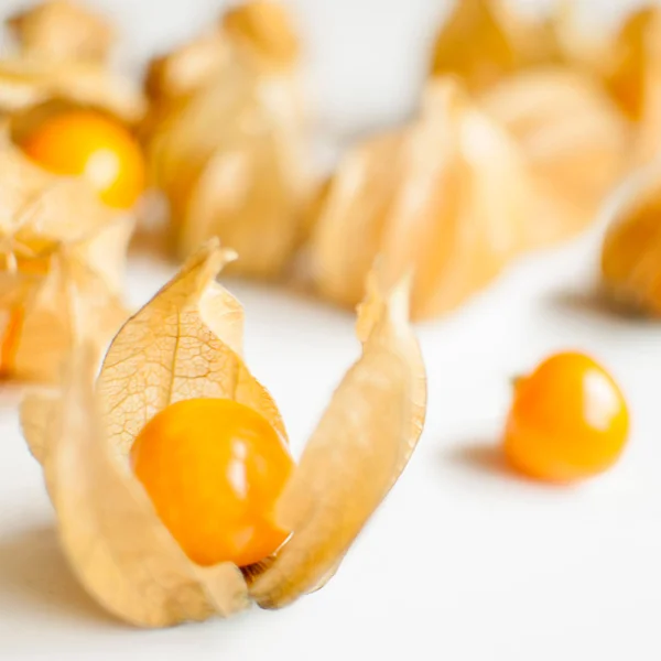 Physalis — Stockfoto