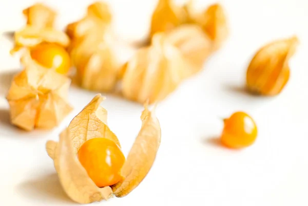 Physalis. —  Fotos de Stock