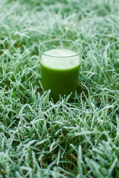 健康的なグリーンのデトックス ジュース — ストック写真