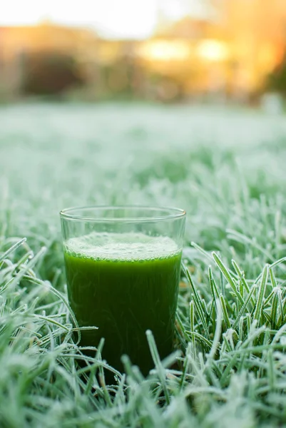 Friska gröna detox juice — Stockfoto