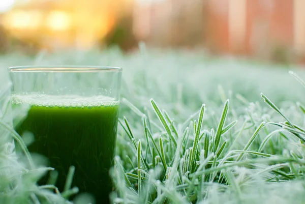 Healthy green detox juice — Stock Photo, Image