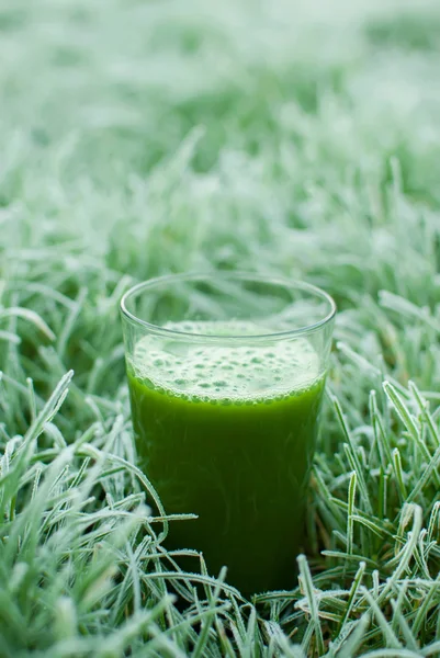 건강 한 녹색 해독 주스 — 스톡 사진