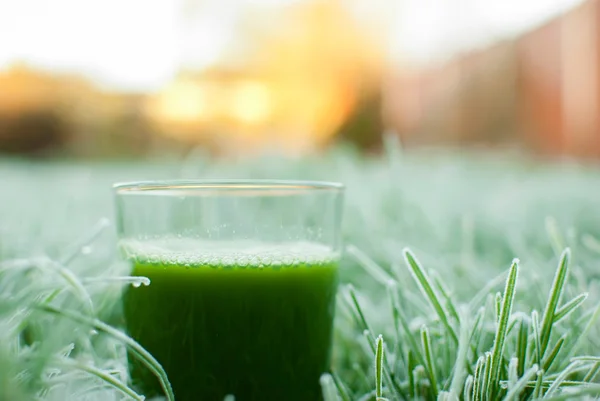 Healthy green detox juice — Stock Photo, Image