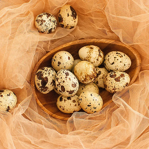 Křepelčí vejce — Stock fotografie