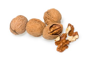 Çerkes ceviz beyaz zemin üzerine izole kapatmak