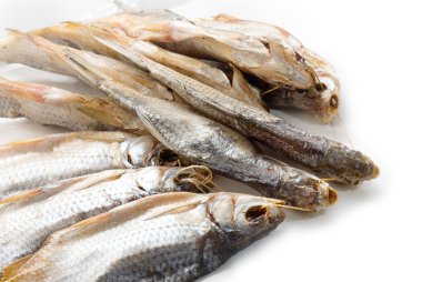 ip üzerinde deniz roach balıklar kurutulmuş