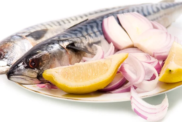 Mackerel with lemon on a white background — Stock Photo, Image