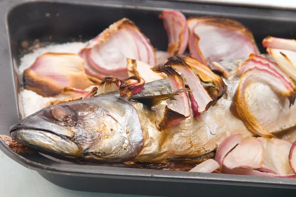 Caballa a la parrilla con cebolla — Foto de Stock