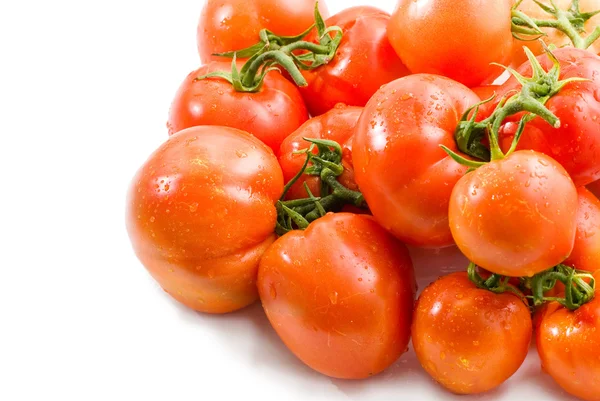 Tomates rojos, maduros con fondo blanco en estudio — Foto de Stock