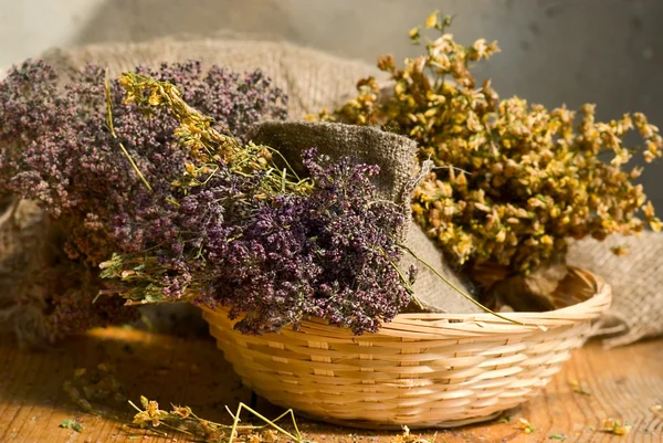 Herbal Medicine — Stock Photo, Image