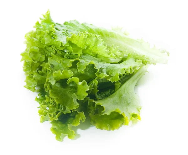 Foglie di insalata — Foto Stock