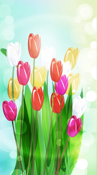 色彩艳丽的花朵背景 — 图库矢量图片