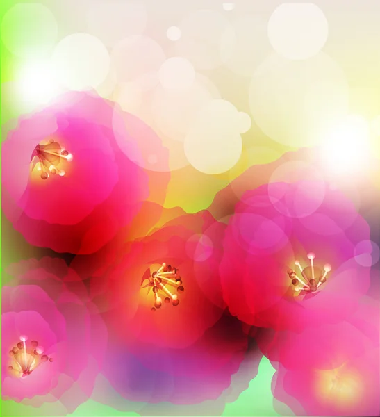 色彩艳丽的花朵背景 — 图库矢量图片