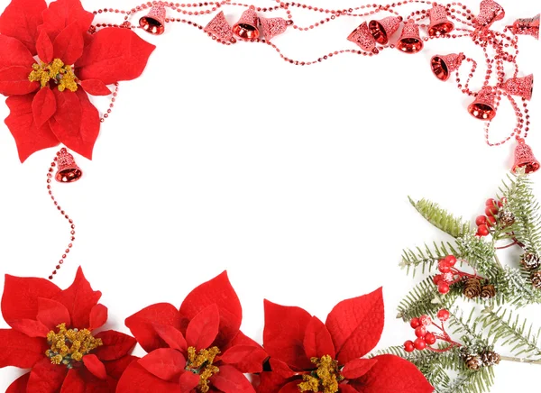 Poinsettias cornice — Foto Stock