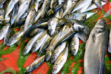 Taze deniz balığı.