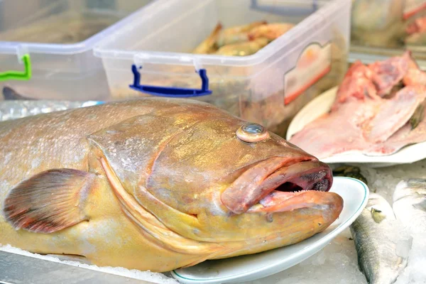 Čerstvé mořské ryby — Stock fotografie