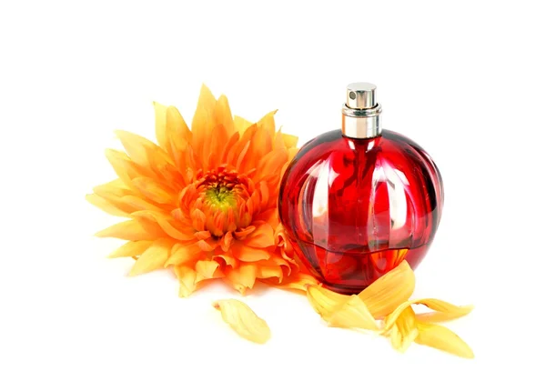 Women's perfume — Stock Photo, Image