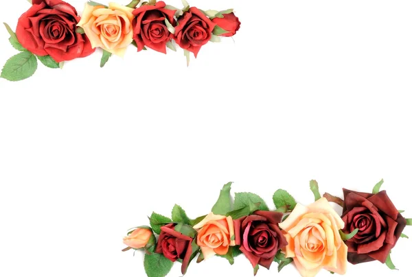 Rose border — Stock Photo, Image