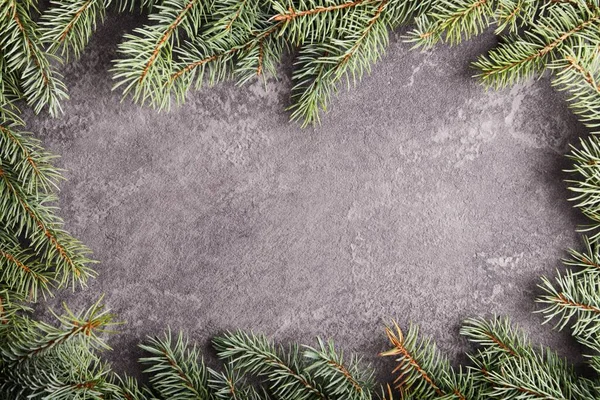 Borde verde de Navidad sobre un fondo de roca gris — Foto de Stock