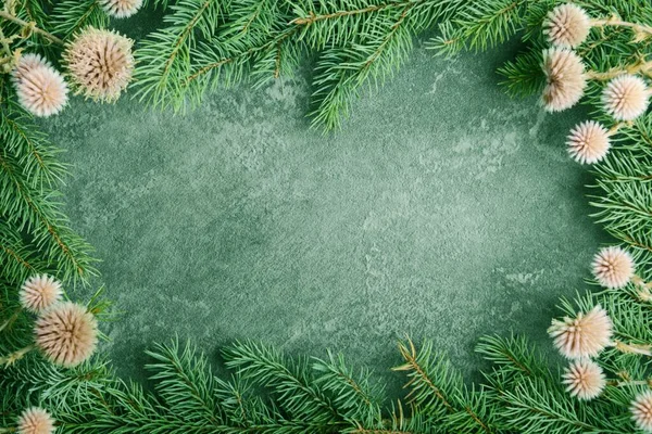 Borde verde de Navidad sobre un fondo de roca gris — Foto de Stock