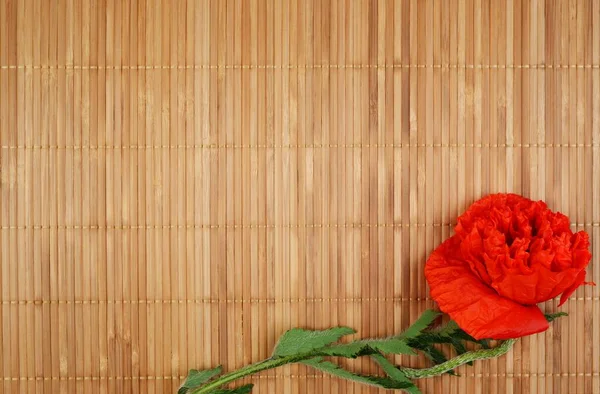 Red peony poppy papaver on a bamboo background . — Stock Photo, Image