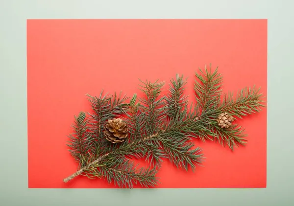 Weihnachten Grünen Rahmen Hintergrund Aus Tannenzweig Mit Zapfen Dekor Nahaufnahme — Stockfoto