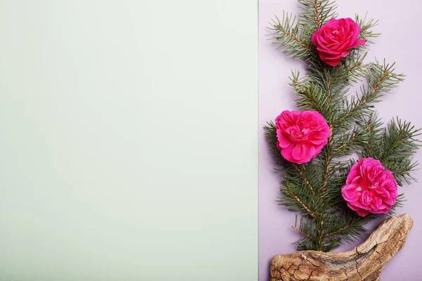 Weihnachtsgrüner Rahmenhintergrund Aus Tannenzweig Mit Roten Rosen Von Oben Gesehen — Stockfoto