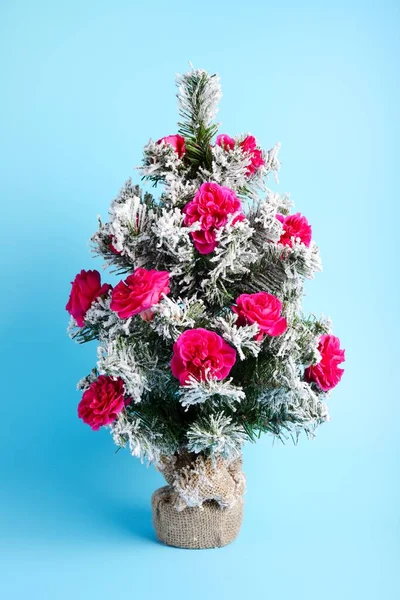 Vánoční zelená trojka se sněhem a čerstvými růžemi — Stock fotografie
