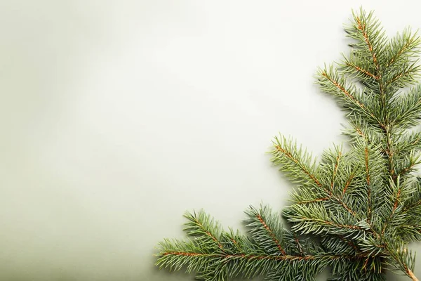 Χριστουγεννιάτικη Ιδέα Πράσινα Κλαδιά Πεύκου Ανοιχτό Πράσινο Φόντο Κενό Διάστημα — Φωτογραφία Αρχείου
