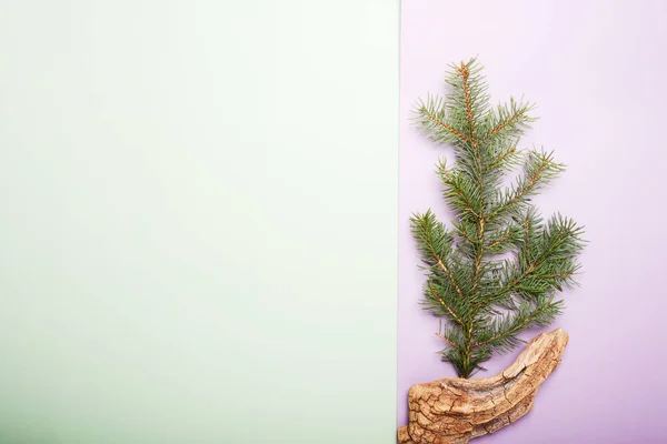 クリスマスのコンセプト 明るい緑とライラックの背景に古い木の装飾が施された緑の松の木の枝 テキストの空のスペース — ストック写真