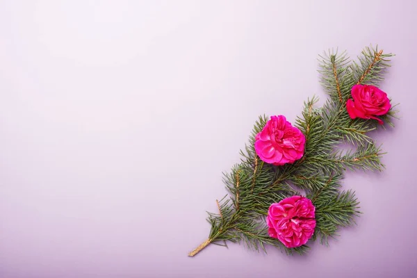 Concepto Navidad Ramas Pino Verde Decoradas Con Hermosas Rosas Rojas —  Fotos de Stock