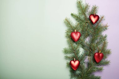 Noel konsepti, açık yeşil ve eflatun arkaplanlı kırmızı kalpli yeşil çam ağacı dalları. Metin için boş boşluk.