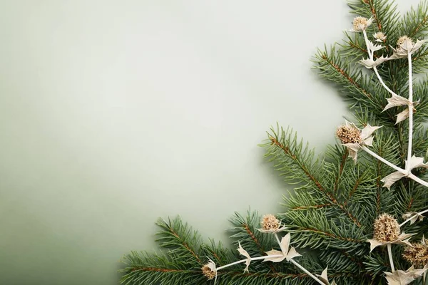 Fondo Verde Navideño Pino Plantas Secas Elementos Sobre Papel Color — Foto de Stock